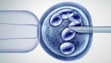 2026乌克兰能做试管婴儿的医院排名前十公布热门乌克兰试管婴儿医院