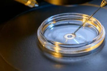 2026宿迁妇幼保健院试管婴儿指南，全面解析费用和成功率