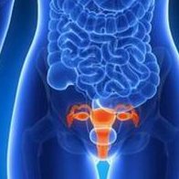 2026在泰国做试管婴儿费用大概是多少钱？