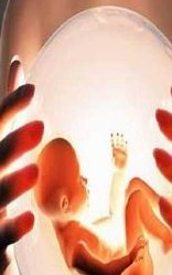 2026包头三代试管助孕机构排名前十名单汇总