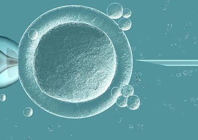 2026国内试管婴儿医院排名前十名单在线一览